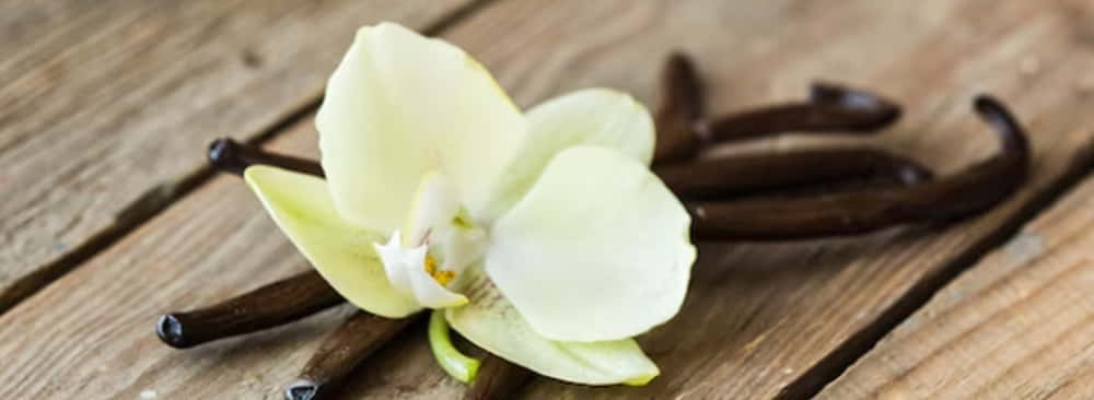 Bacche di vaniglia Bourbon del Madagascar 2
